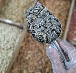 كحلوشة