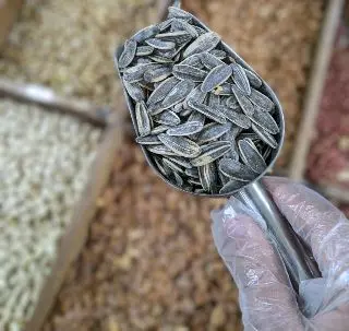 كحلوشة